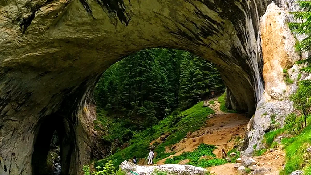 The Wonderful Bridges